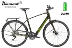 Diamant 365 Deluxe Oxidgrün Metallic 2023