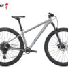 Specialized Rockhopper Expert 29 Satin Silver Dust / Black Holographic