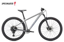 Specialized Rockhopper Expert 29 Satin Silver Dust / Black Holographic