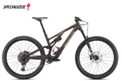 Specialized Stumpjumper Evo Comp Satin Doppio / Sand