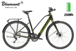 Diamant 365 Deluxe Trapez Oxidgrün Metallic 2023